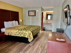 桑福德Econo Lodge的配有一张床和一台平面电视的酒店客房