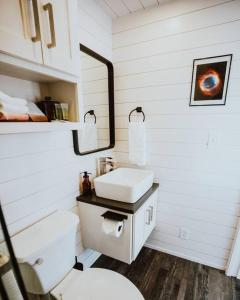 阿尔派恩New Starry Night Shipping Container Home的白色的浴室设有水槽和镜子