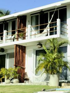 巴卡拉尔Tropic Bacalar的前面有棕榈树的白色房子