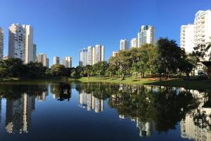 戈亚尼亚Hostel Bimba Goiânia - Unidade 01的享有城市和湖泊的美景