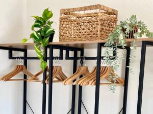 东塞斯特里La Monstera Rooms的木器 ⁇ 架和植物
