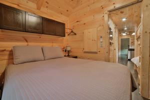 查塔努加Ani Cabin Tiny Home Bordered By National Forest的小木屋内一间卧室,配有一张床