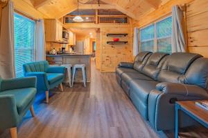 查塔努加Ernie Cabin Wauhatchie Woodlands Tiny Cabin的带沙发和椅子的客厅以及厨房。