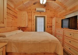 查塔努加Bryce Cabin Lookout Mtn Tiny Home W Swim Spa的一间卧室配有一张床和一台平面电视