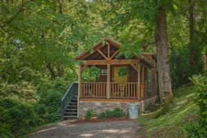 查塔努加Eden Cabin Forested Tiny Home On Lookout Mtn的森林中带门廊的小屋