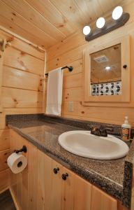 查塔努加Eden Cabin Forested Tiny Home On Lookout Mtn的小木屋内带水槽的浴室