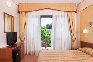 阿巴迪亚圣萨尔瓦托雷法布里尼酒店的一间卧室配有一张床、一台电视和一个阳台