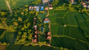 乌布Aswanaya Villas Ubud的田野房屋的空中景观