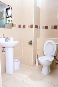内罗毕Sangara by Edmor Suites的一间带卫生间和水槽的浴室