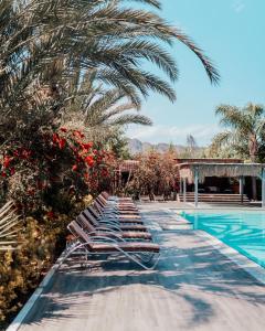 契拉勒Azur Hotel的棕榈树旁带躺椅的游泳池