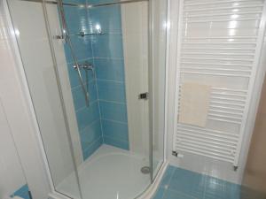 新赫拉迪尊波克旅馆的带淋浴的浴室和玻璃门