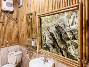 Xuân SơnHam Rong Bungalow的一间带卫生间、水槽和窗户的浴室