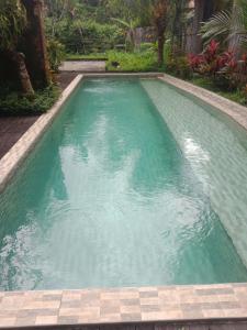 德格拉朗Ubud Sawah Scenery Villa and Homestay的碧绿水游泳池