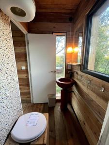 Lissac et MouretLes cabanes de Julie的一间带卫生间和窗户的小浴室