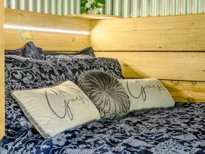 辛霍迪1 bed in Llandovery 88603的床上有2个枕头