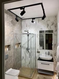 敖德萨豪华公寓酒店的带淋浴、卫生间和盥洗盆的浴室