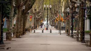 巴塞罗那1223 - POBLENOU APARTMENT的一条绿树成荫的街道,设有长椅和街灯