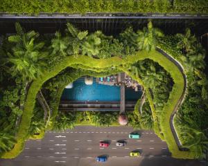 新加坡PARKROYAL COLLECTION Pickering, Singapore的汽车和树木覆盖道路的顶部景色