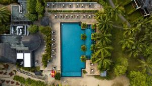 博瓦隆STORY Seychelles的棕榈树度假村的游泳池景
