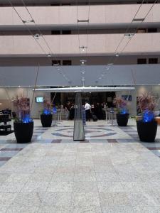 瓜鲁柳斯International Airport Flat - Guarulhos quarto 1267的建筑里一个空的大厅,里面种植了蓝色植物
