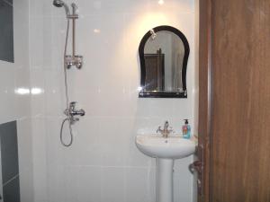 博尔若米Guesthouse Borjomi的浴室配有盥洗盆和带镜子的淋浴