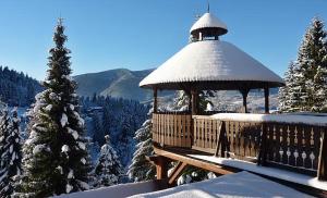 奥斯特拉维采Hotel Sepetná的雪覆盖顶上的凉亭