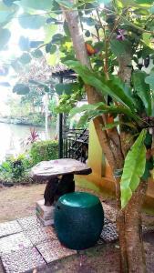 邦萨雷สวนผึ้ง2 รีสอร์ท - Suan Phueng 2 Resort的树下边的长凳