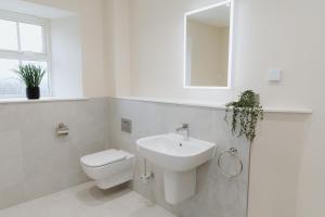 PrestonNightfold - 1 Bedroom Self-Catering Cottage的一间带卫生间、水槽和镜子的浴室