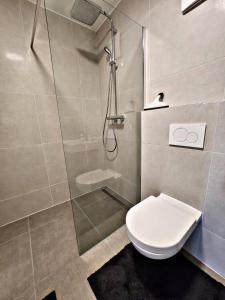 布拉河畔的海登海姆Lions Place Premium Apartments COMFORT optionaler Zugang zum SPA- Bereich的带淋浴和卫生间的浴室