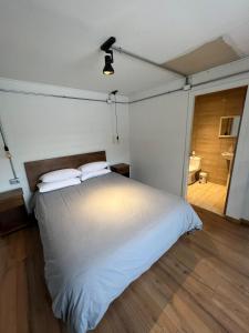 科伊艾科Hostal Sur Y Magia的一间带白色床的卧室和一间浴室