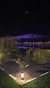 Al Khatimمزرعة واستراحة الجوري的花园中晚上的甲板上设有紫色灯