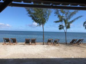 Rodrigues IslandBon Vivant Front de Mer - Ile Rodrigues的海滩上一排沙滩椅和棕榈树