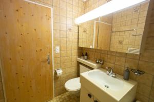 施库尔Chasa Trais Fluors的一间带水槽、卫生间和镜子的浴室