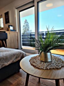 布拉河畔的海登海姆Lions Place Premium Apartments EXECUTIVE Luxus PENTHOUSE inklusive SPA的坐在桌子上的盆栽植物