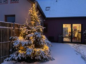 当巴克拉维尔Le Refuge du Rempart的雪覆盖着一棵圣诞树,上面有灯光