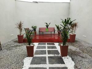 雅卡雷伊Kitnet 3 - próximo ao centro de Jacareí的坐在种有盆栽植物的庭院里的长凳