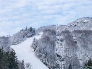 亨特Hunter Mtn Slopeside Ski Resort w HotTub Heated Pool Sauna and Fireplace的山中一条雪覆盖的道路