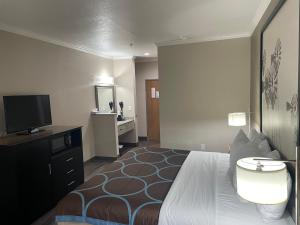 圣安东尼奥圣安东尼奥阿拉莫区速8酒店的配有一张床和一台平面电视的酒店客房