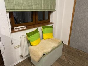 施瓦茨Süße Wohnung Privatvermieter的椅子上有两个绿色和黄色的枕头