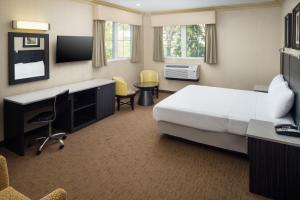 利堡天空之景汽车旅馆的配有一张床和一张书桌的酒店客房