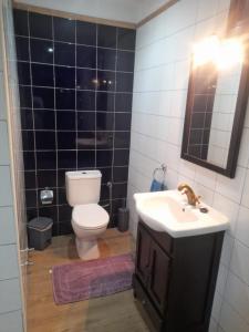 TamaimoWinter Wonderland Villa的一间带卫生间和水槽的浴室