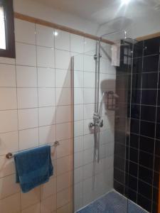TamaimoWinter Wonderland Villa的带淋浴和蓝色毛巾的浴室