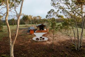 ExcelsiorAkuna Estate - Luxury Glamping Experience的一群三只狗坐在小屋前
