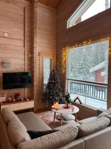 科林基拉Holiday Home Amero purnu 5的客厅配有圣诞树和沙发