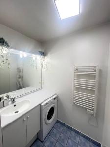 塞尔吉Cocon Eudenia - accès direct PARIS - 2 MIN RER - PARKING GRATUIT的一间带洗衣机和水槽的浴室