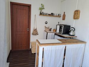 科洛尼亚-德尔萨克拉门托La Estacion Colonia的厨房设有微波炉和门