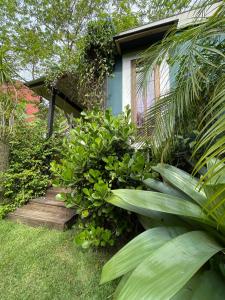 瓜尔达恩巴CASA DE CHICO - Tiny House的一条通往植物之家的木道