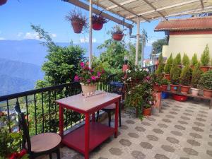 大吉岭Himshikha Homestay的阳台配有桌子和盆栽植物