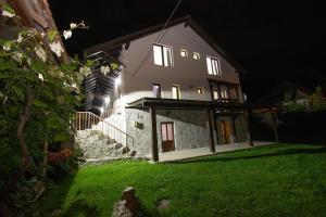 彼得罗沙尼Casa de vacanță Edya的夜晚有灯的房子