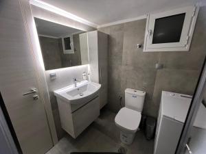 塞雷Serres city center modern apartment (Monika)的一间带水槽和卫生间的小浴室